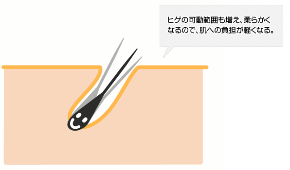 毛の根本が動くイラスト